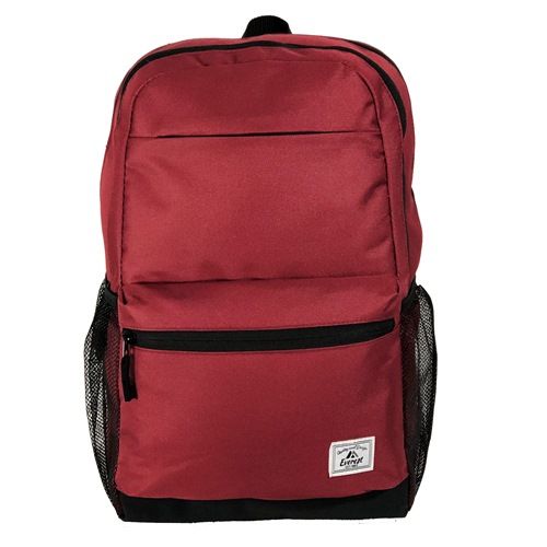 20 Pieces of Modern Laptop Backpack In Burgandy