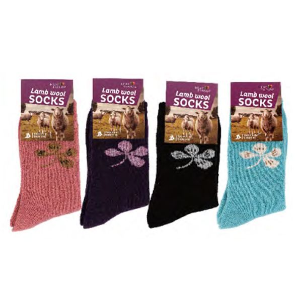 144 Pairs Trail Cushion Crew Socks For Women - Womens Thermal Socks
