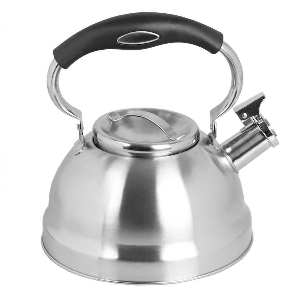 Home Basics Silver Stainless Steel Tea Kettle