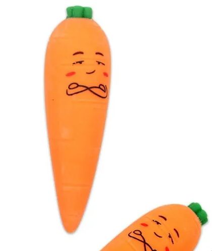 carrot pencil case
