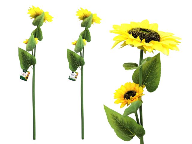 12 Pieces of Premium Giant Sunflower