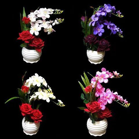 12 Pieces of Orchid And Rose Flower Plant