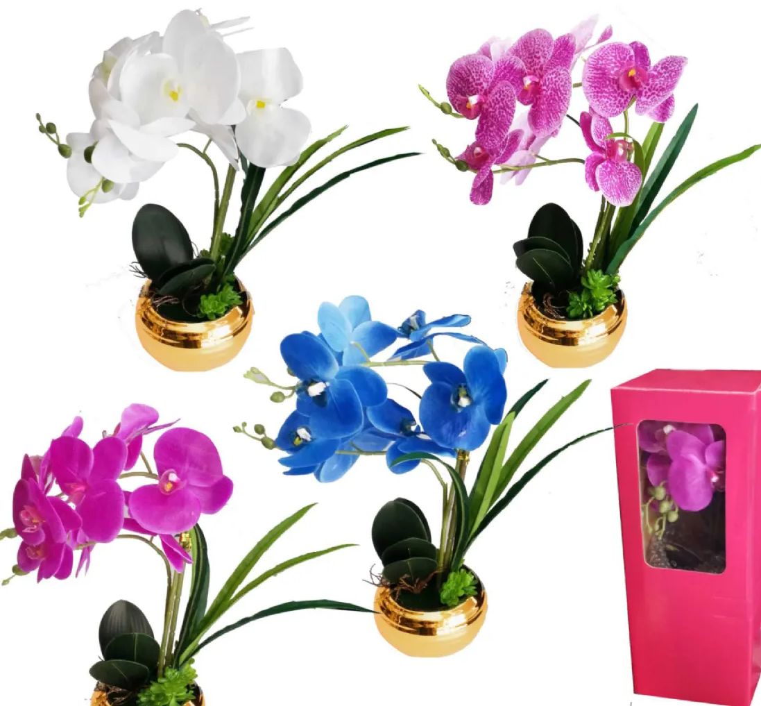 12 Pieces of Orchid With Gold Vase