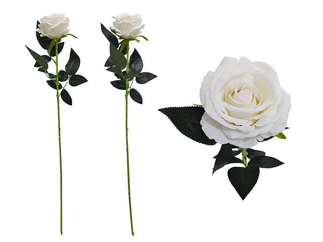 144 Pieces of Premium Single Stem Rose Flower, White Color Only