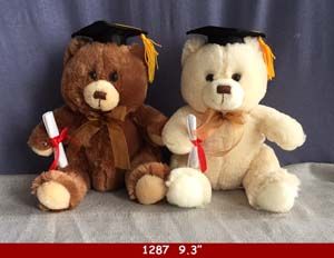 48 Pieces of Graduation Sitting Bear