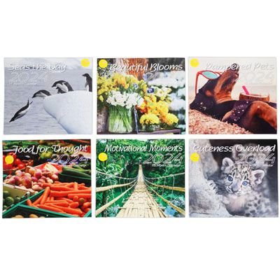 60 Wholesale Calendar Wall 16 Month 2024 6ast 11x12 In 60pc Floor