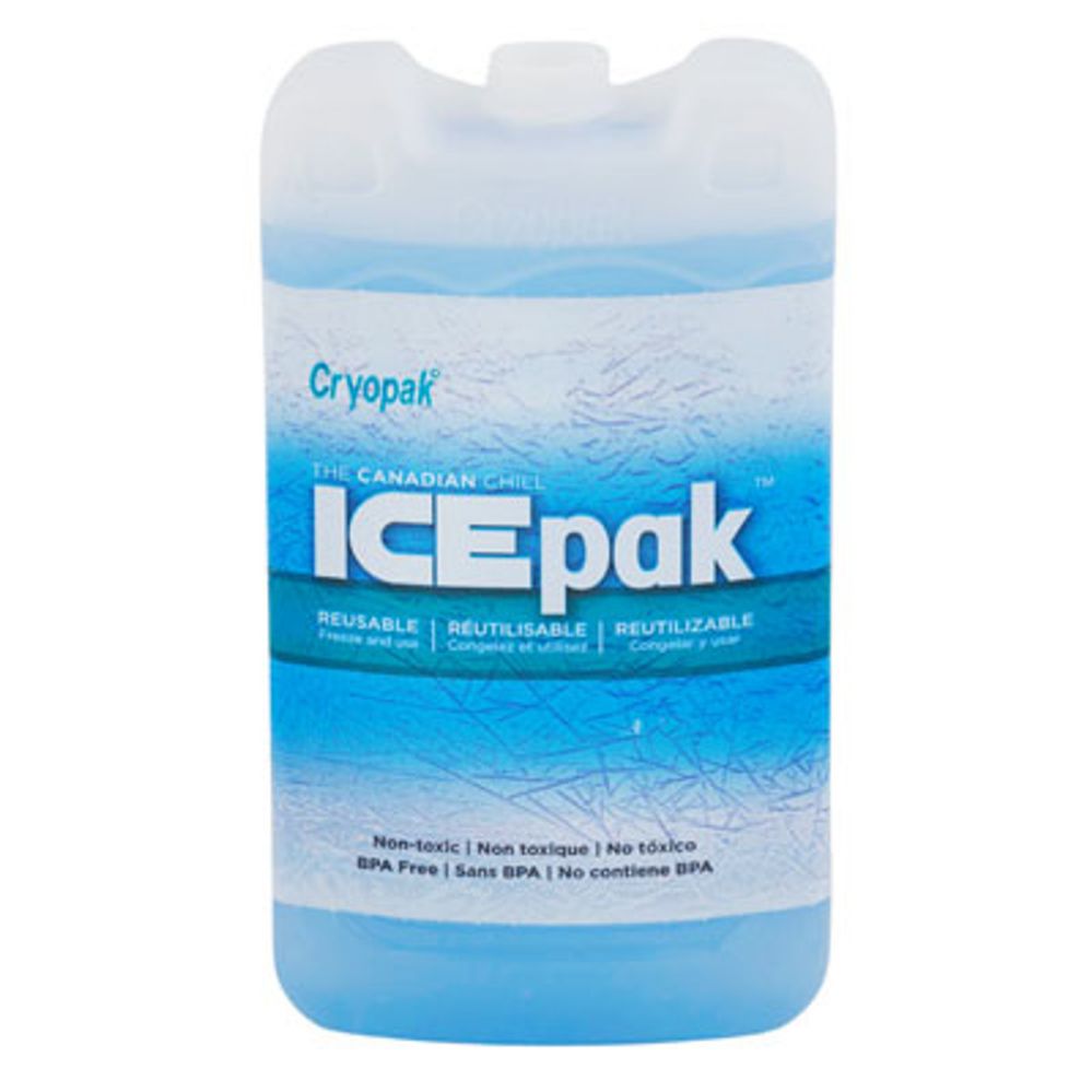24 pieces of Ice Pack Hard Shell Reusable 3.8x6.9