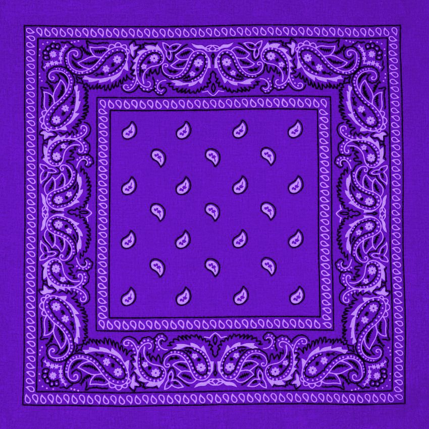 12 Pieces of Purple Paisley Print Polyester Bandanas