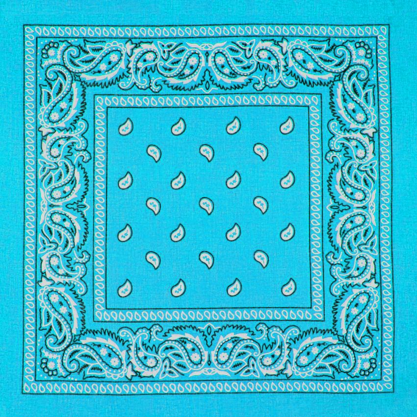 12 pieces of Light Blue Paisley Print Polyester Bandanas