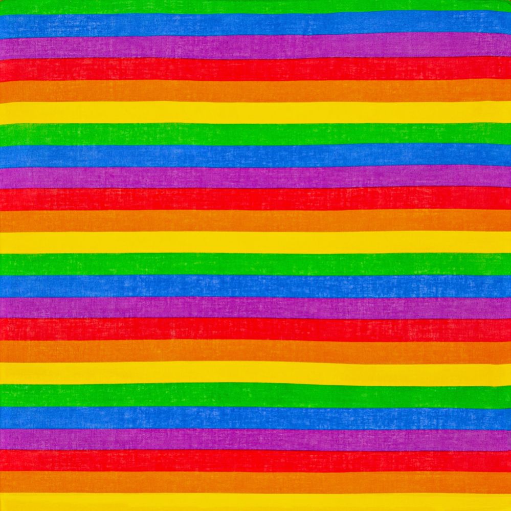 12 pieces of Rainbow Cotton Bandana