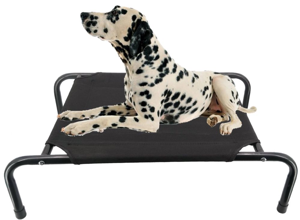 36 pieces of Pet Bed XLarge
