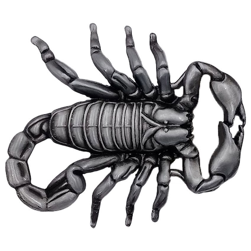 Scorpion buckles outlet