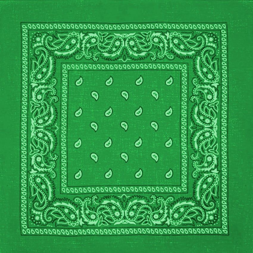 36 Pieces of Dark Green Paisley Print Polyester Bandanas