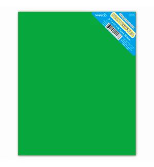 48 Pieces of 2-Pockets Poly Portfolio Solid Green
