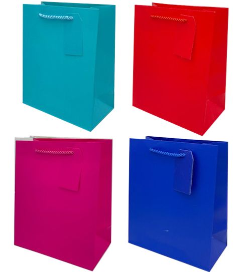 240 Pieces of Medium Gift Bag