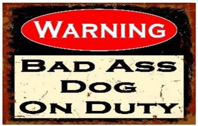 5 Pieces of 16"x12" Metal Sign - Warning: Bad Ass Dog On Duty