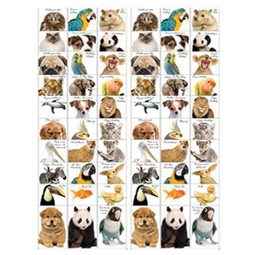 720 pieces of Animal Cards - 30 Styles, 2 Dz Each