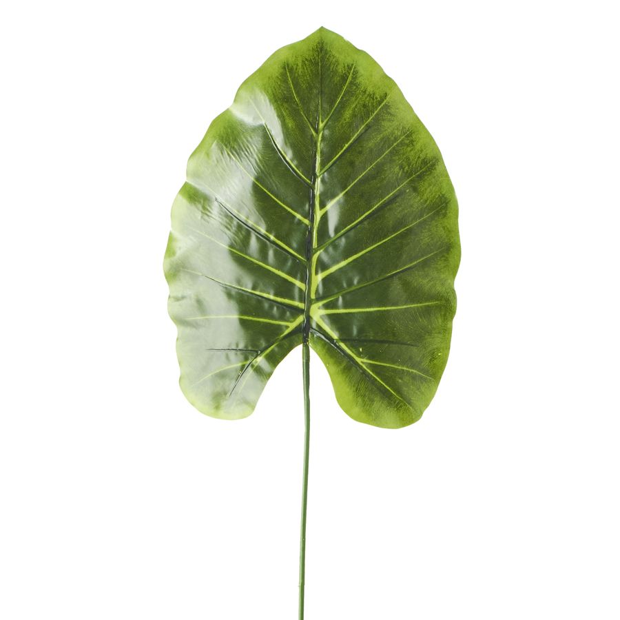 Wholesale Philodendron Pick - 23in - Dark Green - WSD