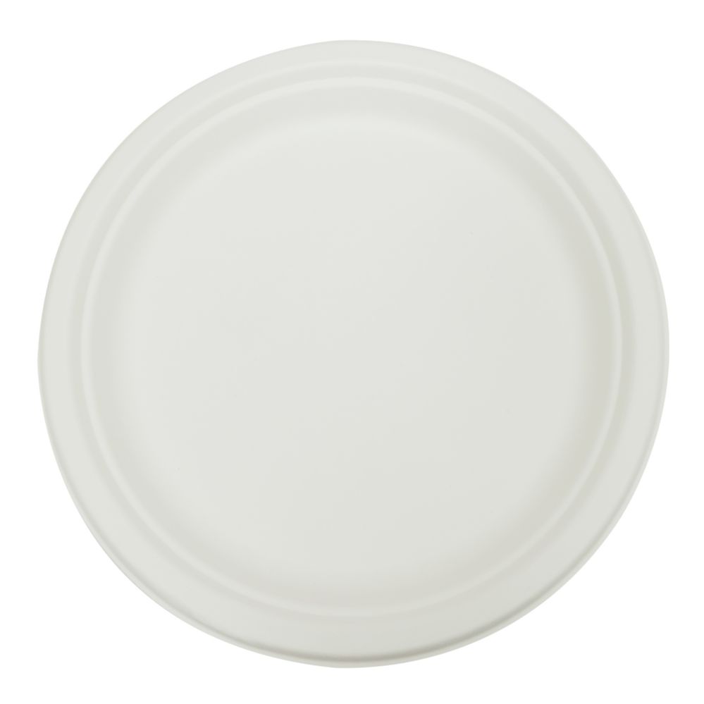 Wholesale disposable plates hotsell