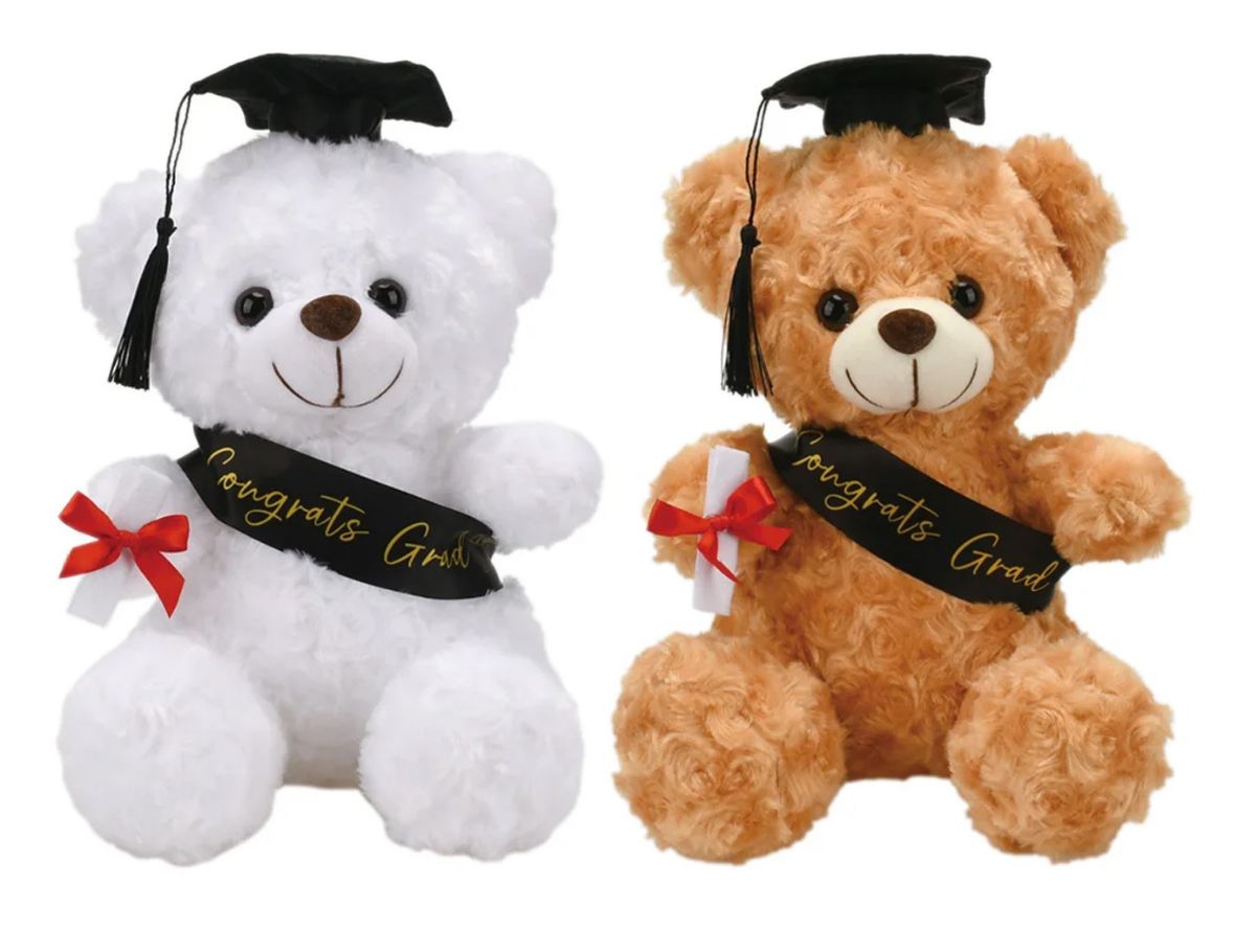 24 Pieces of 10 inch Graduation Bear