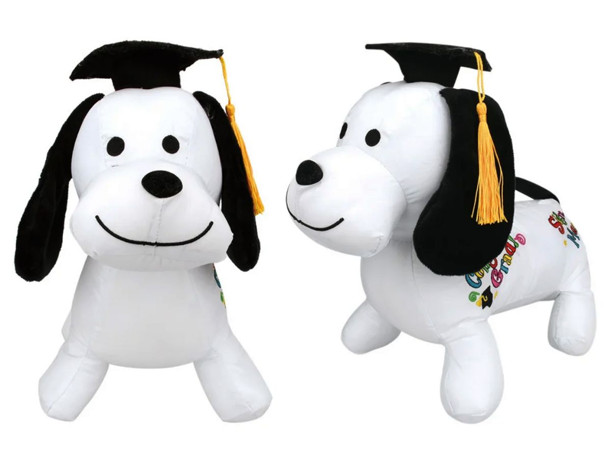 24 Pieces of 12 inch Graduation Autograph Dog