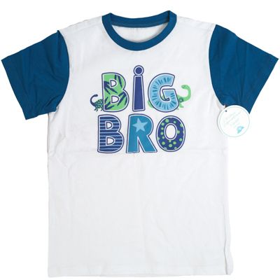 24 Pieces of T-Shirt Boy Toddler 4-6 Big Bro