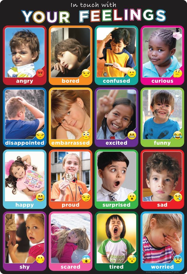 24 Pieces of Emotions Photographs, 13" X 19", Smart Poly Chart
