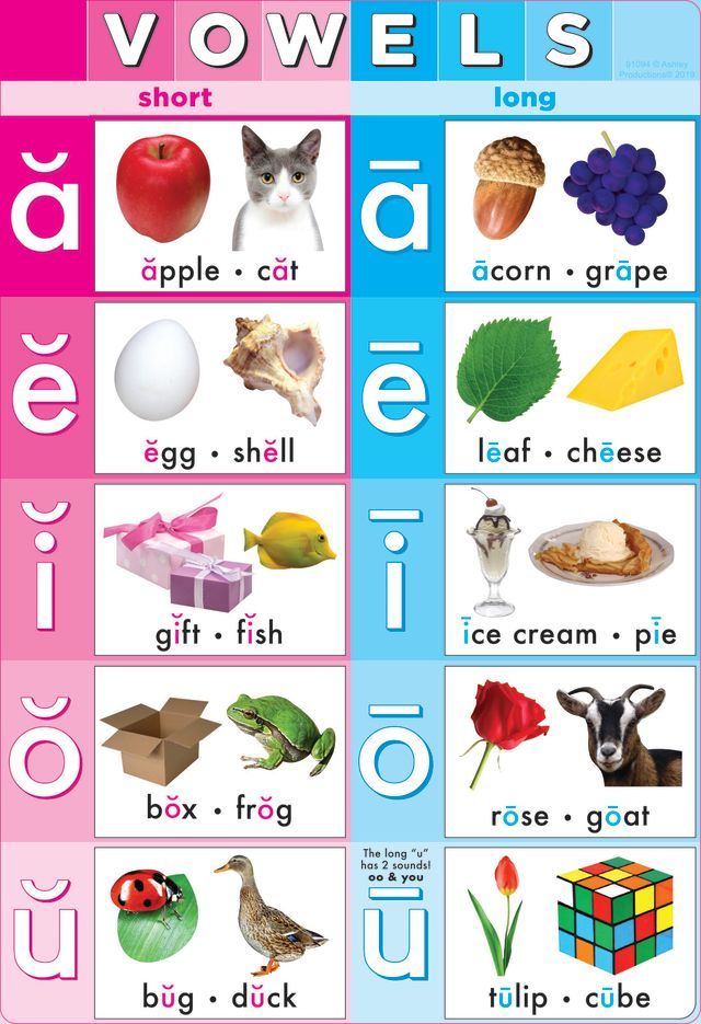 24 Pieces of Vowels, 13" X 19", Smart Poly Chart
