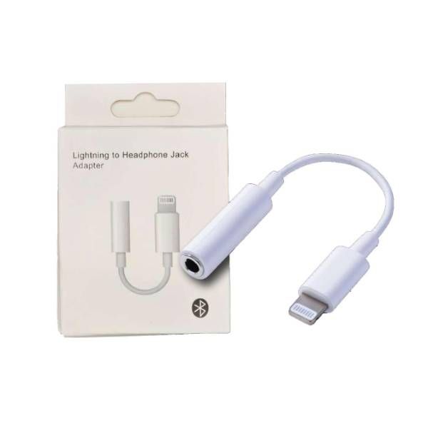 24 Pieces of Aux To Lighting Adapter