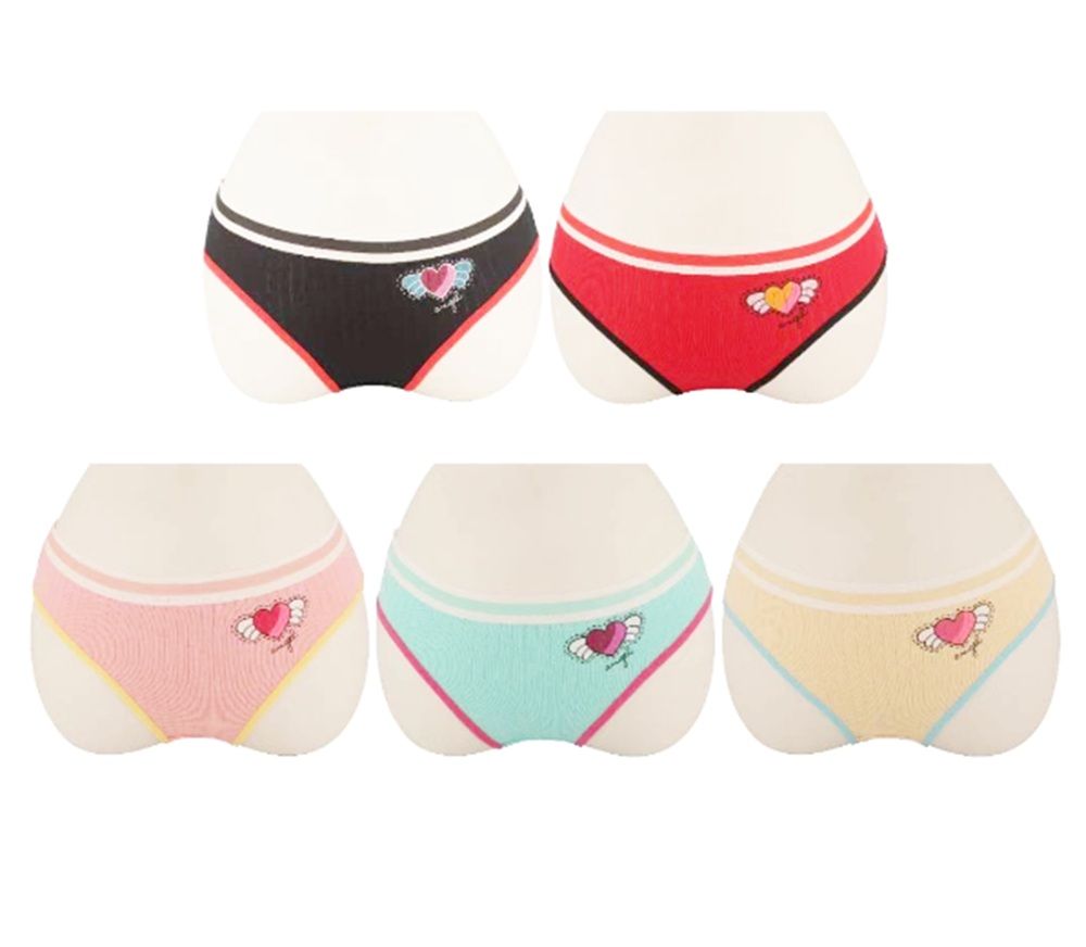 30 Pieces of Ladies Assorted Underwear Heart Design
