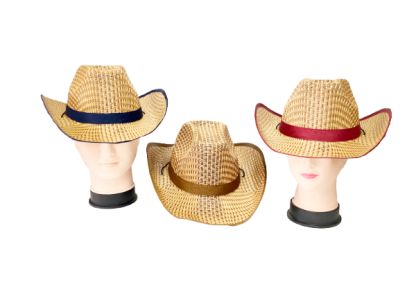 12 Packs of Cowboy Straw Hat Assorted Color Band