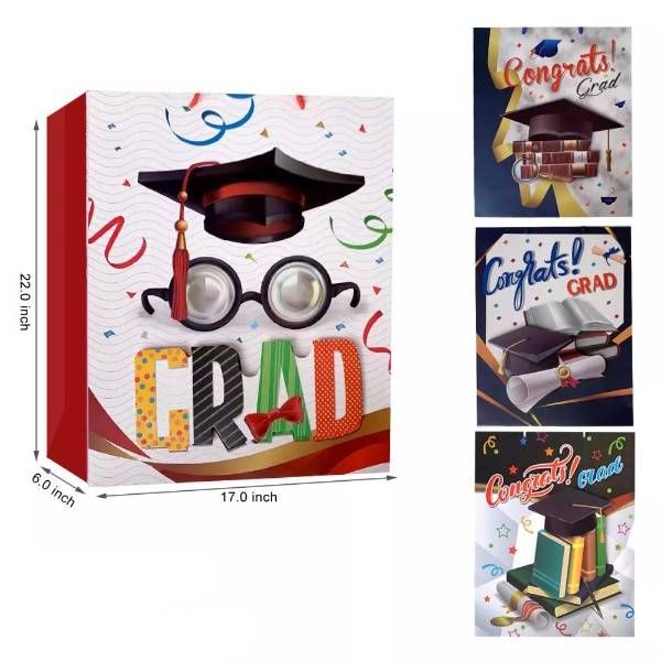 48 Pieces of 22x17 Graduation Gift Bag
