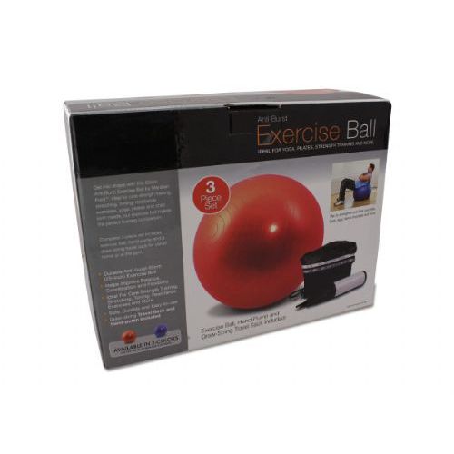 6 Pieces of Exercise Ball With Pump