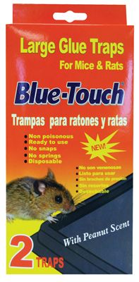 48 Pieces of Blue Touch Glue Trap 2 Pack Large Mouse And Rat Peanut Scent