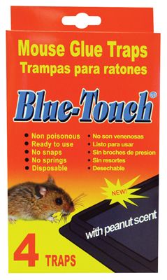 48 Pieces of Blue Touch Glue Trap 4 Pack Mouse And Rat Peanut Scent