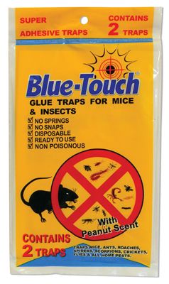 96 Pieces of Blue Touch Glue Trap 2 Pack In Display Mouse