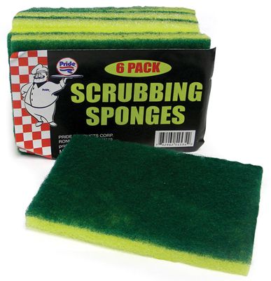 48 Pieces of Scrubbing Sponge 6 Pack 4.5 X 3 X .5 Inches In Display