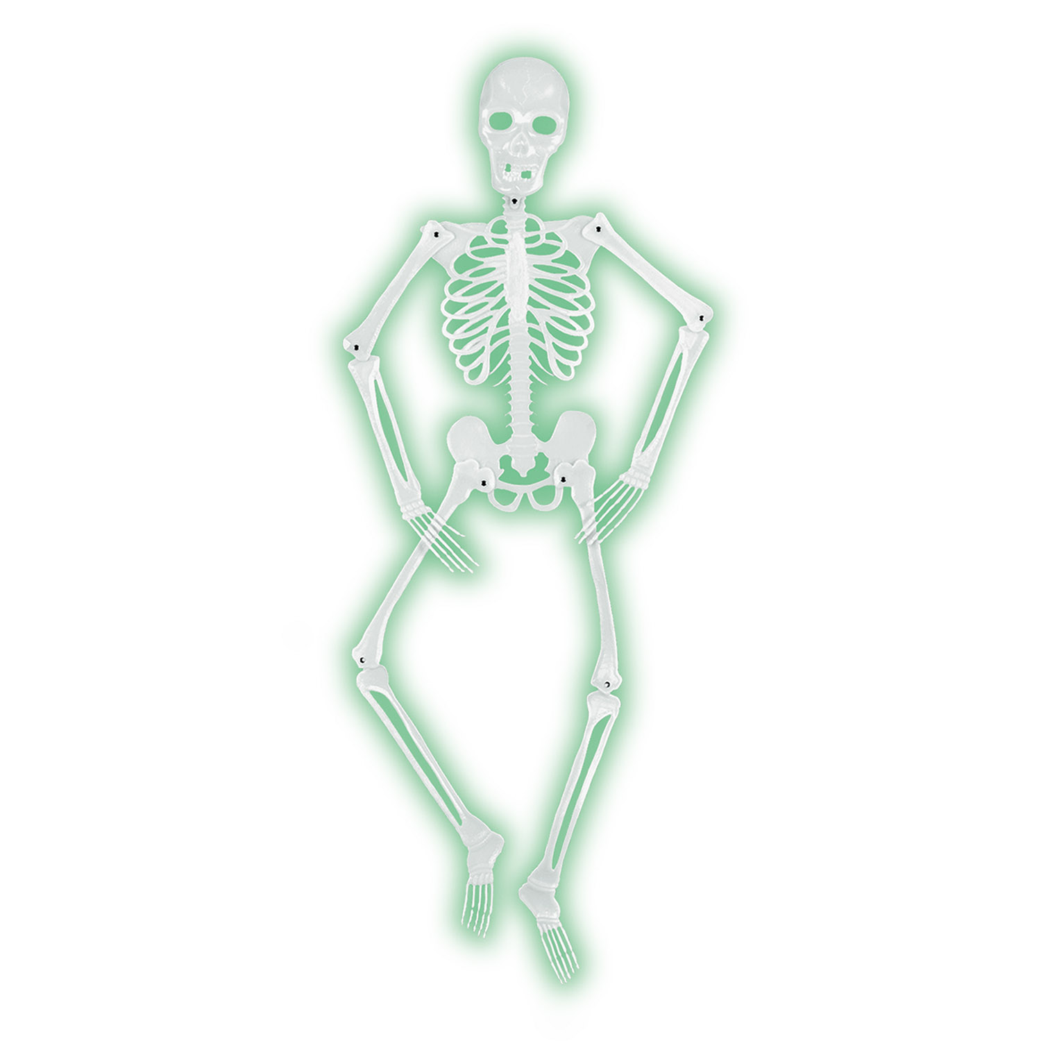 6 Pieces of Mr BoneS-A-Glo Skeleton AlL-Weather NitE-Glo Plastic