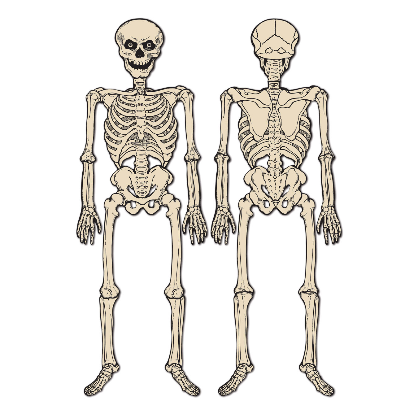 12 Pieces of Vintage Halloween Jointed Skeleton