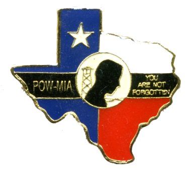 96 Wholesale Brass Hat Pin, Texas / Pow