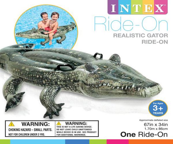 6 Wholesale Ride On Realistic Gator