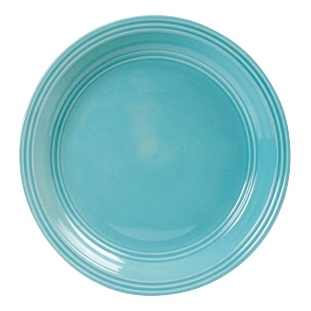 6 Pieces Aqua Rainforest 10.5 Dinner Plate Diswasher And Microwave Safe