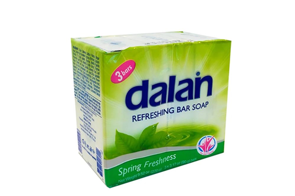 24 Wholesale Dalan Bar Soap 3.17 Oz Each 3 Pack Spring Freshness