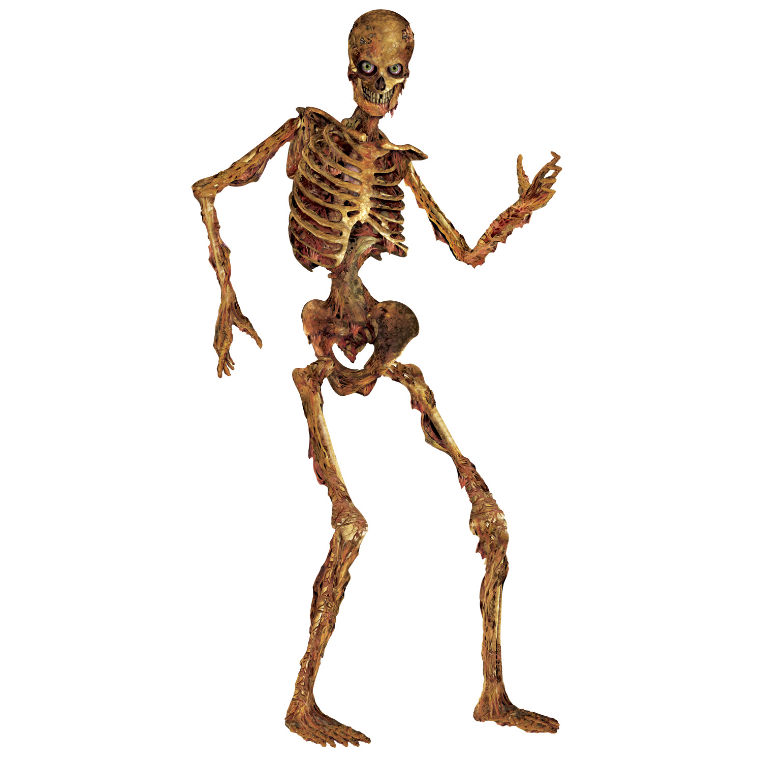 12 Wholesale Jointed Skeleton