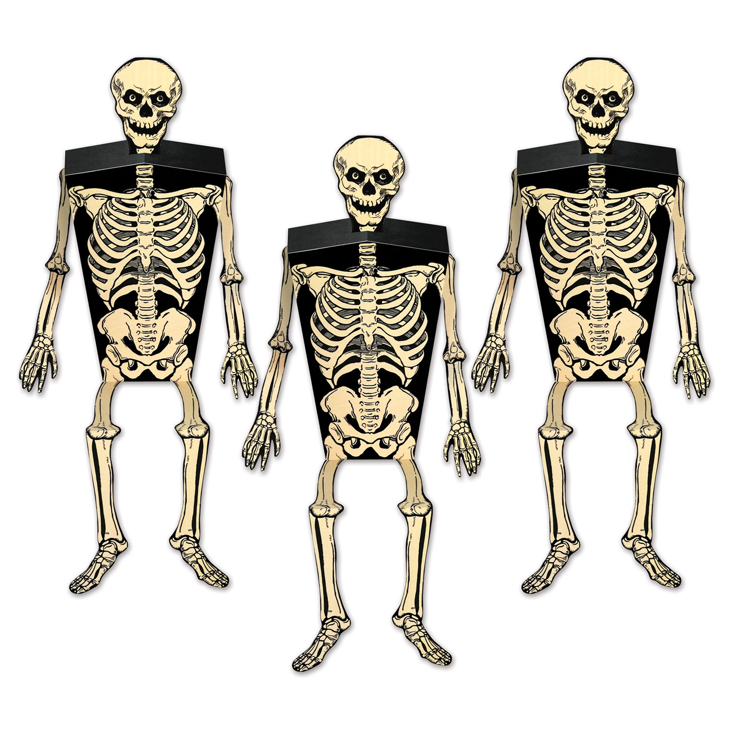 12 Wholesale Skeleton Favor Boxes Skulls, Arms, Legs Included; Assembly