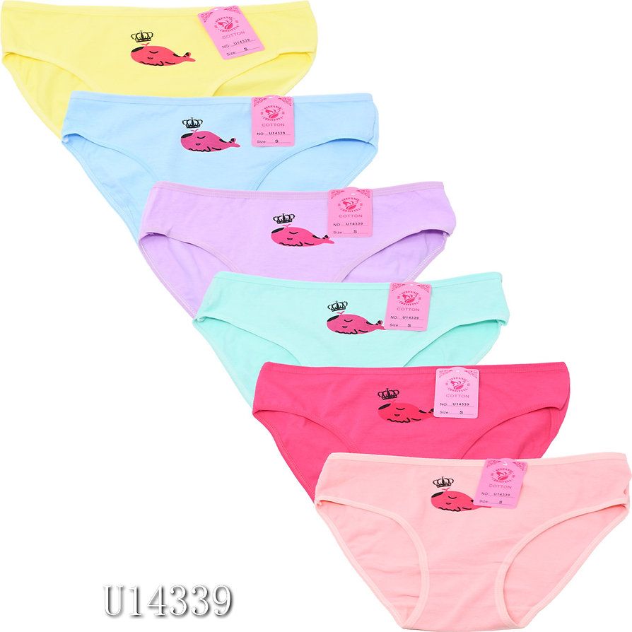 36 Wholesale Women Panties Size L - at - wholesalesockdeals.com