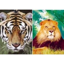 20 Pieces 3d PicturE-Lion/tiger - Wall Decor