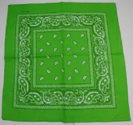 96 Pieces of BandanA-Lime Green Paisley