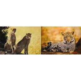 20 Wholesale 3d PicturE-Cheetah Laying/2 Cheetahs