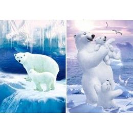 50 Wholesale 3d PicturE-Polar Bears